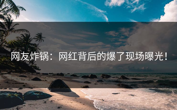 网友炸锅：网红背后的爆了现场曝光！