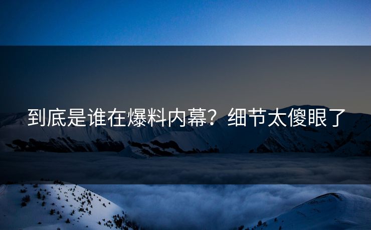 到底是谁在爆料内幕？细节太傻眼了