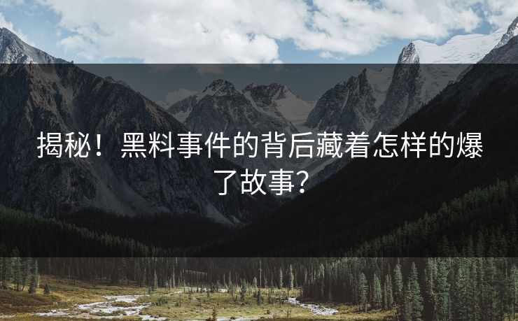 揭秘！黑料事件的背后藏着怎样的爆了故事？