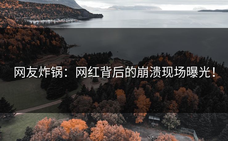 网友炸锅：网红背后的崩溃现场曝光！