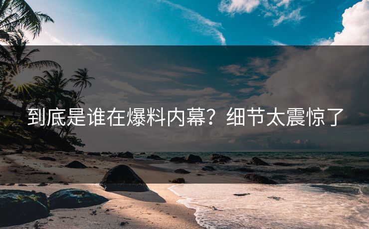 到底是谁在爆料内幕？细节太震惊了
