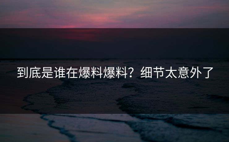 到底是谁在爆料爆料？细节太意外了