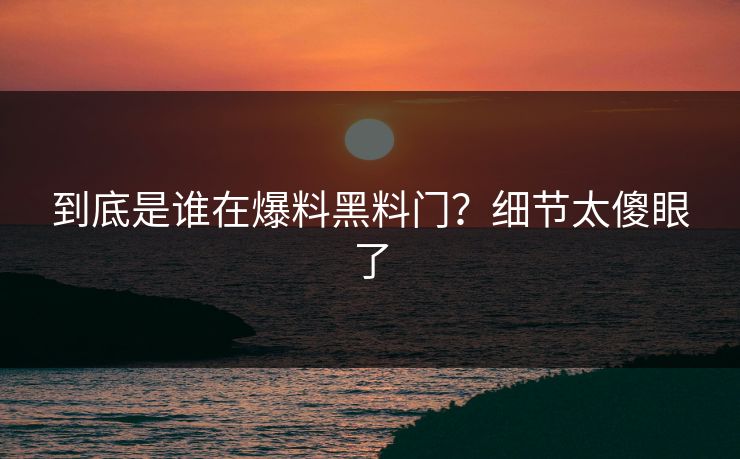 到底是谁在爆料黑料门？细节太傻眼了