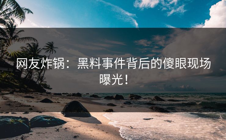 网友炸锅：黑料事件背后的傻眼现场曝光！