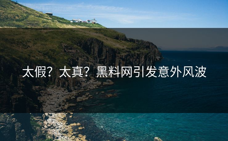 太假？太真？黑料网引发意外风波