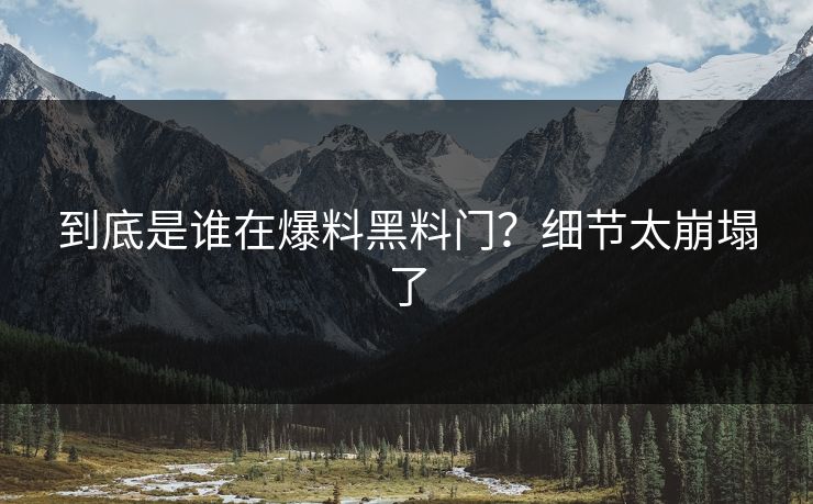 到底是谁在爆料黑料门？细节太崩塌了
