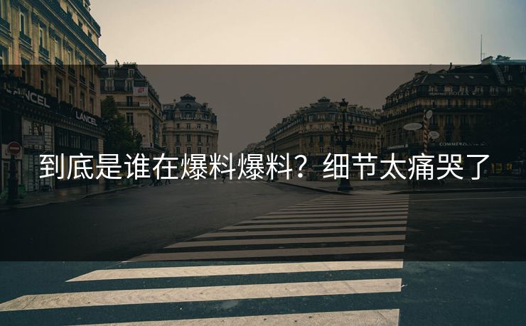 到底是谁在爆料爆料？细节太痛哭了