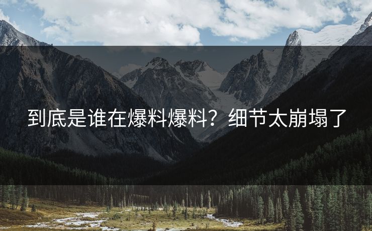 到底是谁在爆料爆料？细节太崩塌了
