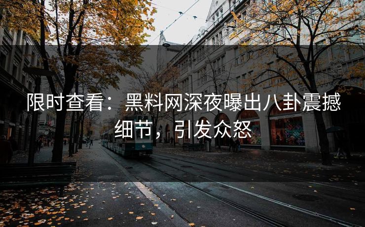 限时查看：黑料网深夜曝出八卦震撼细节，引发众怒