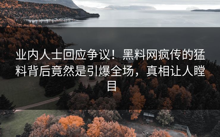 业内人士回应争议！黑料网疯传的猛料背后竟然是引爆全场，真相让人瞠目