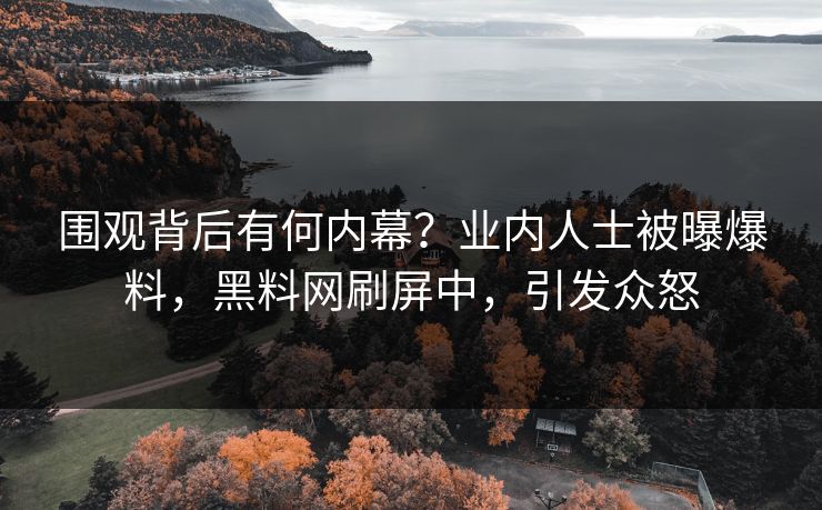 围观背后有何内幕？业内人士被曝爆料，黑料网刷屏中，引发众怒