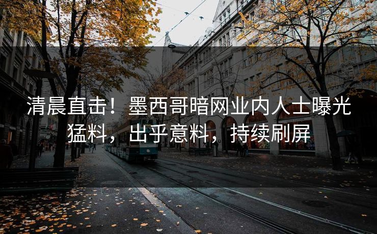 清晨直击！墨西哥暗网业内人士曝光猛料，出乎意料，持续刷屏