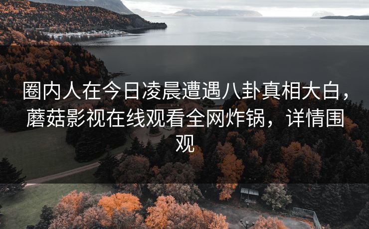 圈内人在今日凌晨遭遇八卦真相大白，蘑菇影视在线观看全网炸锅，详情围观