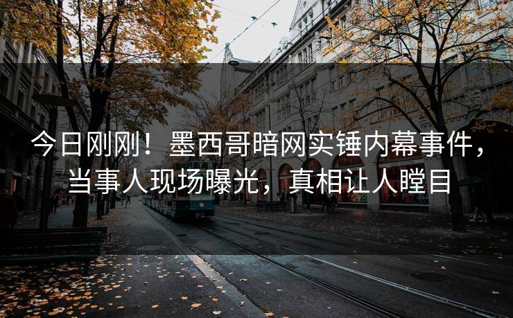 今日刚刚！墨西哥暗网实锤内幕事件，当事人现场曝光，真相让人瞠目