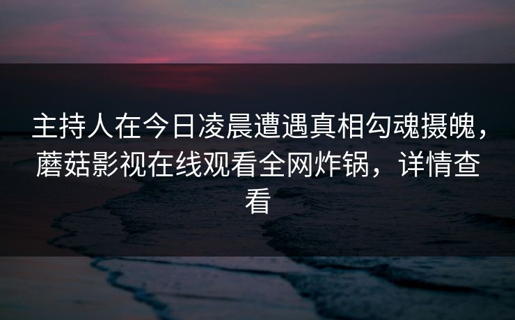 主持人在今日凌晨遭遇真相勾魂摄魄，蘑菇影视在线观看全网炸锅，详情查看