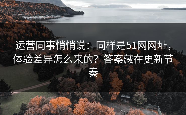 运营同事悄悄说：同样是51网网址，体验差异怎么来的？答案藏在更新节奏