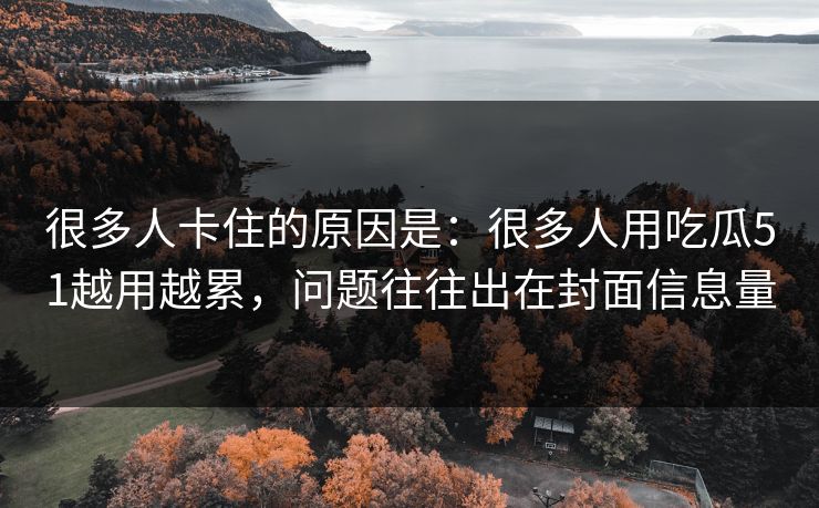 很多人卡住的原因是：很多人用吃瓜51越用越累，问题往往出在封面信息量